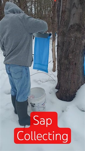 From Bag to Bucket 🍁