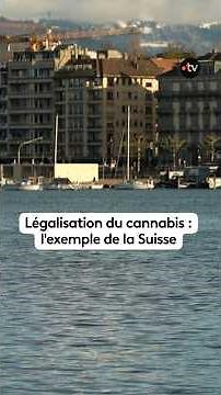 Legalization of cannabis: the example of Switzerland