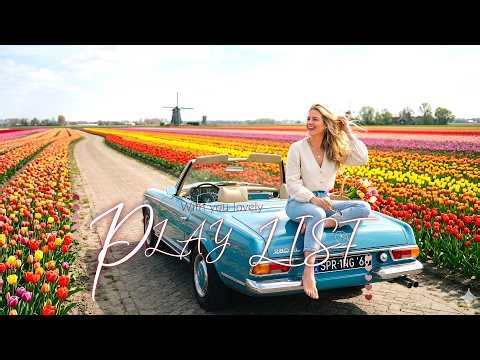 Spring Drive Playlist Vol.2 🌷Driving Through Endless Tulip Fields with the Top Down