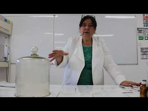 2 Fenomene fizice și fenomene chimice