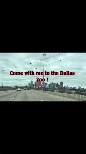 Family-Friendly Dallas Zoo Membership for Just $50