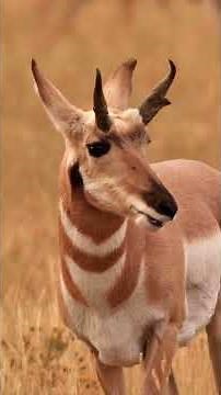 International Day for Biological Diversity