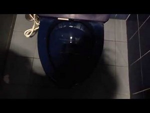 TOTO Western Toilet "C454PV" Flush (2) (Excel Blue Color)