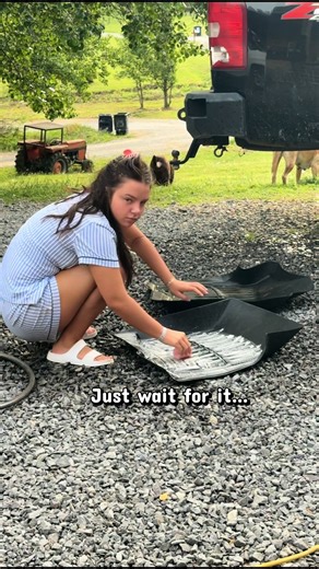 She’s available for car details if anybody needs her 🤣 Every single day with this kid is an adventure, you really never know what you are going to get! 🤣 #adayinmylife #adayinthelife #sahm #momlife #momsoftiktok Day in my life vlogs Realistic mom vlog Relatable mom life Day in my life vlogs Millennial mom Vlog day in my life mom Day in my life as a mom My morning routine Morning routine trend Morning routine ideas Morning vlog Daily Routine Husband and wife team Husband and wife Family House r