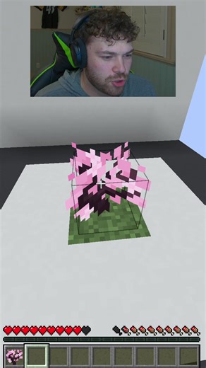 Why was it so big #minecraft #minecraftmemes #minecraftshorts #fyp @Tuffington