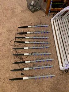 Peace (Pixel) Stakes