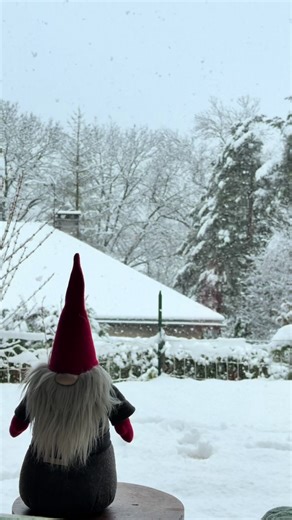 Dwarf loves snow #winter #dwarf #snow #nature #cold