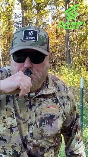 Easy and Content Quack then Hen Cadence #shorts #duckcalling #duckcall #duckhunting #hunting #duck