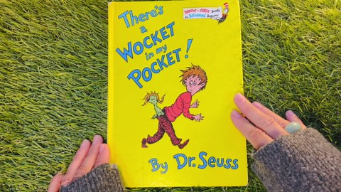 There's a Wocket in my Pocket by Dr. Seuss READ ALOUD book for kids