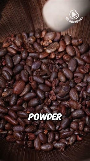 This “alien egg” fruit turns into chocolate