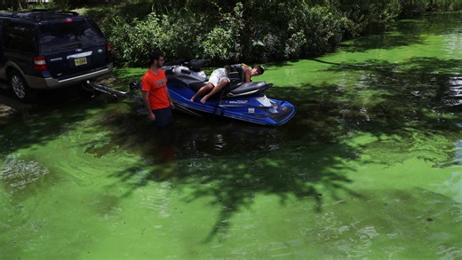 How much algae toxin is too much? Environmental groups urge EPA to adopt stricter guidelines for recreational exposure
