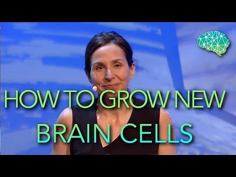 It's possible to Grow New Brain Cells. Here's how to do it | Sandrine Thuret