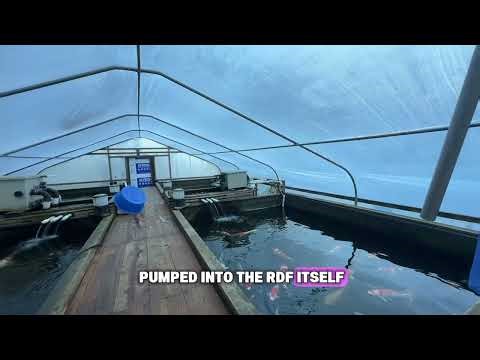 Pump Fed Filtration Explained? | Koi Pond Systems (Part 2)