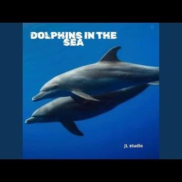 Dolphins in the sea