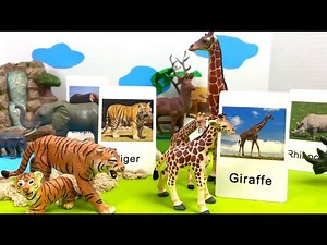 Learn Zoo Animal Names and Sounds with Flashcards