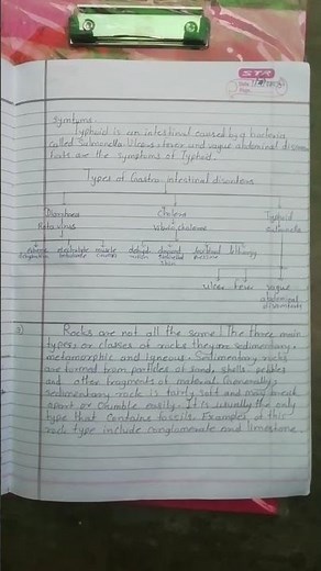 Information Transfer //Verbal to non - verbal👍