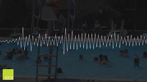 Where you are on Earth affects the sounds you hear. The soundscape from a sidewalk in New York City sounds totally different than the sounds of sandhill cranes in Nebraska. As the environment and living organisms change, so does the soundscape. Soundscape ecologists break sounsdcapes into three categories: Biophony, Geophony and Anthrophony. In this video, Shane will help you learn more about these types of sounds and discover how you can investigate the sounds in your own backyard! | Science Ce