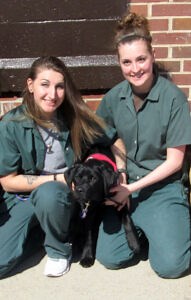 Prison Puppy Program | Can Do Canines