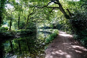 How to Walk The Saturn Trail in Surrey, UK - Walk Wild - Adventure Travel Blog