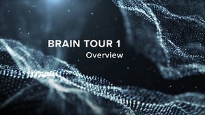 Brain Tour 1 - Overview