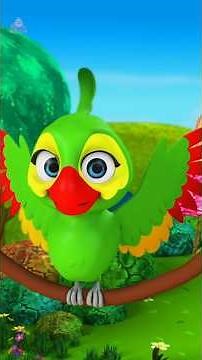 Hindi Rhyme Main Tota, मैं तोता मैं तोता #shortsforkids #shorts #hindicartoon #maintota #babysongs