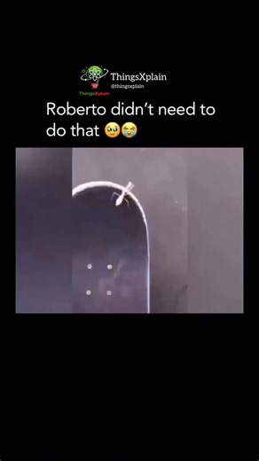 ThingXplain on Instagram: "Robertoooooooooooo The reel features a small praying mantis, which the creator has named Roberto, perched on the edge of a skateboard. The narrator speaks to the insect in a friendly tone, treating it like a companion, which sets up a lighthearted expectation for the viewer before the sudden twist. As the person filming attempts to perform a skateboarding trick (likely a kickflip or a simple pop), the board flips quickly, and the mantis is accidentally crushed or swipe