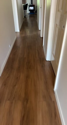 Megan Takacs (@megantakacs) - Funny Staffy Dog Screaming Compilation