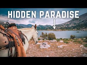 10 Mules, 50 Miles, Zero Civilization: Riding Into Wyoming’s Wilderness