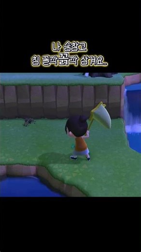 모동숲 타란툴라 잡는 방법 🕷️