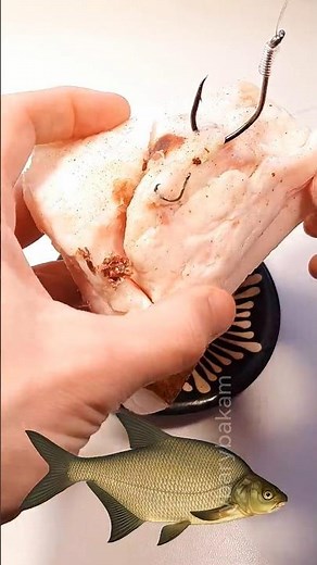Bream Fishing Hack: Using Pork Fat 🥓