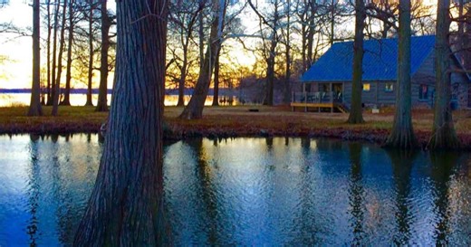 Reelfoot Lake State Park