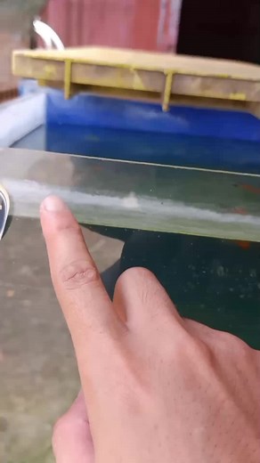 Pang tanggal ng stains or watermark sa aquarium