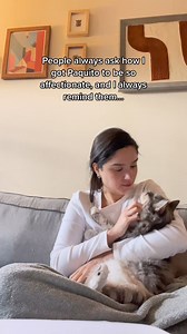 21K views · 950 reactions | Be Gentle #catsoftiktok #kitty #purring #fyp #catsofinstagram #animal #cat #clingypet #asmr #cuddlycat Paquitothecat | Andrea & Paquito | Facebook