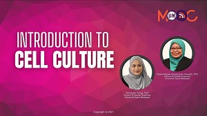 Introduction to Cell Culture | USM MOOC