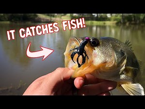 First Look At One Of The BEST Micro Lures for Bass – Mule Fishing Burro Bug