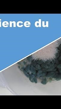 #17 - Les émotions et le Riz / Emoto experiment
