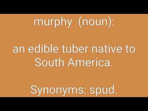 Murphy Definition & Meaning