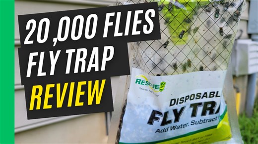 Watch Outdoor Disposable Hanging Fly Traps That Work - Easy to Use on Amazon Live