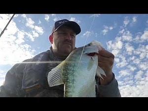 crappie fishing on Douglas Lake 9/25/2023