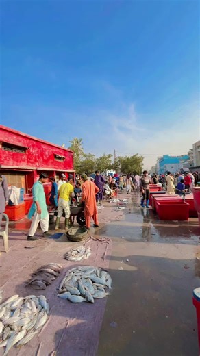 Exploring Karachi's Vibrant Fish Market