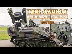 The Ozelot: The Tiny Tank That Shoots Down Jets!
