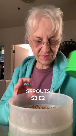 Healthy Sprouting Techniques for Garbanzo Beans