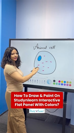 Draw, paint, and create vibrant diagrams right in front of your class. For example, while teaching biology, you can draw colorful diagrams of cells, highlight important parts, and label them clearly. The use of colors helps students differentiate between structures and remember them better, with this students immediately connect, understand faster, and remember longer. Colors and labels make even the toughest topics simple and engaging. The Palette app on Studynlearn Interactive Flat Panel turns