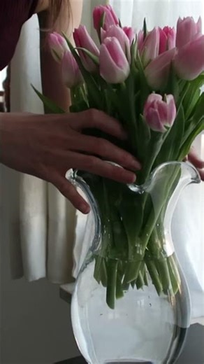 Cutting Tulips 🌷 Relaxing Flower ASMR