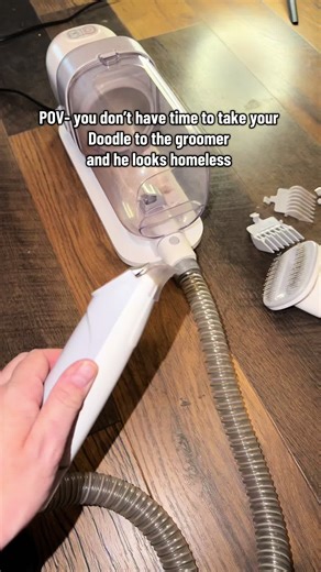 DIY Grooming for Labradoodles: A Pet Grooming Vacuum Review