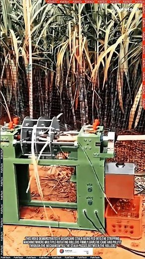 Sugarcane Stripper Tool: Fast Leaf Removal #tool #tools #innovation