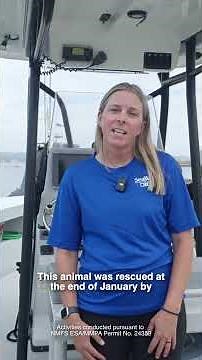13 returns from SeaWorld San Diego Rescue Team