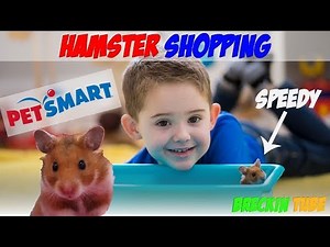 HAMSTER Shopping at PetSmart - Getting a Syrian Hamster - Getting my Hamster