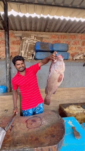 Massive Grouper Fish Cutting 🔥🐟 | Clean Cuts, Perfect Slices!
