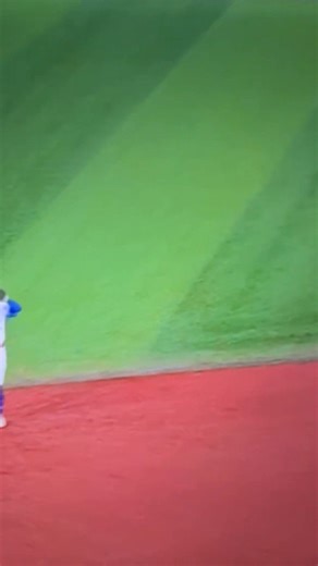 2.8K views · 90 reactions | WOOOOOOOO!!!! #bluejays | Joey Johnson | Facebook